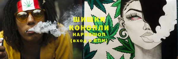 PSILOCYBIN Остров
