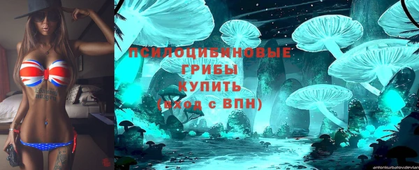 PSILOCYBIN Остров