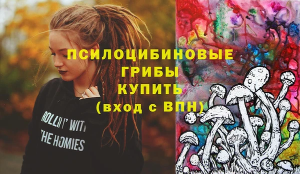 PSILOCYBIN Остров
