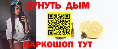 спиды Донской