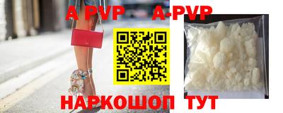 спиды Донской