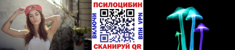 кракен зеркало  Зерноград  Псилоцибиновые грибы Magic Shrooms  наркотики 