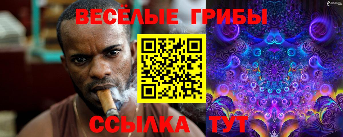 Зерноград  Галлюциногенные грибы GOLDEN TEACHER  Вход с VPN 
