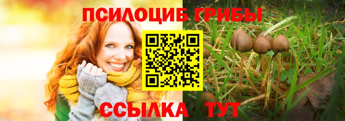 Псилоцибиновые грибы мухоморы  Зерноград 