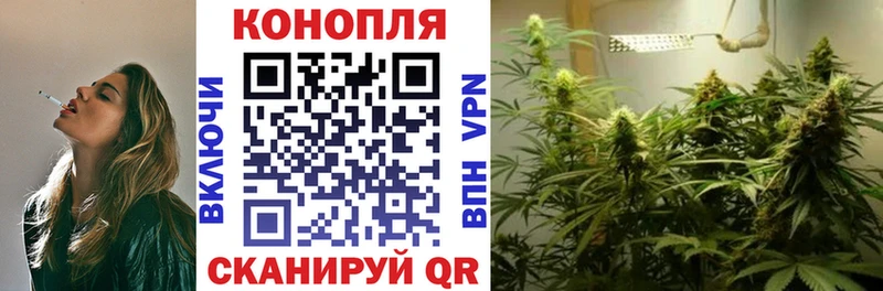 Каннабис планчик  цены наркотик  Зерноград 